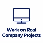 work on real projects