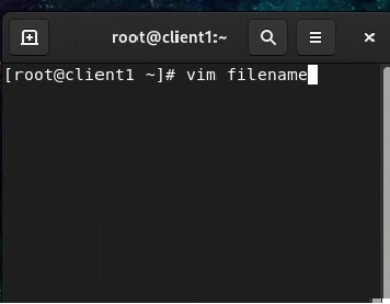 vim filename