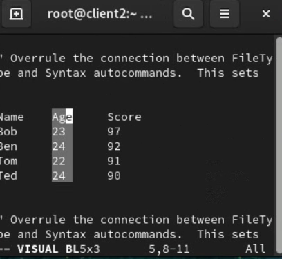 vim visual block selection