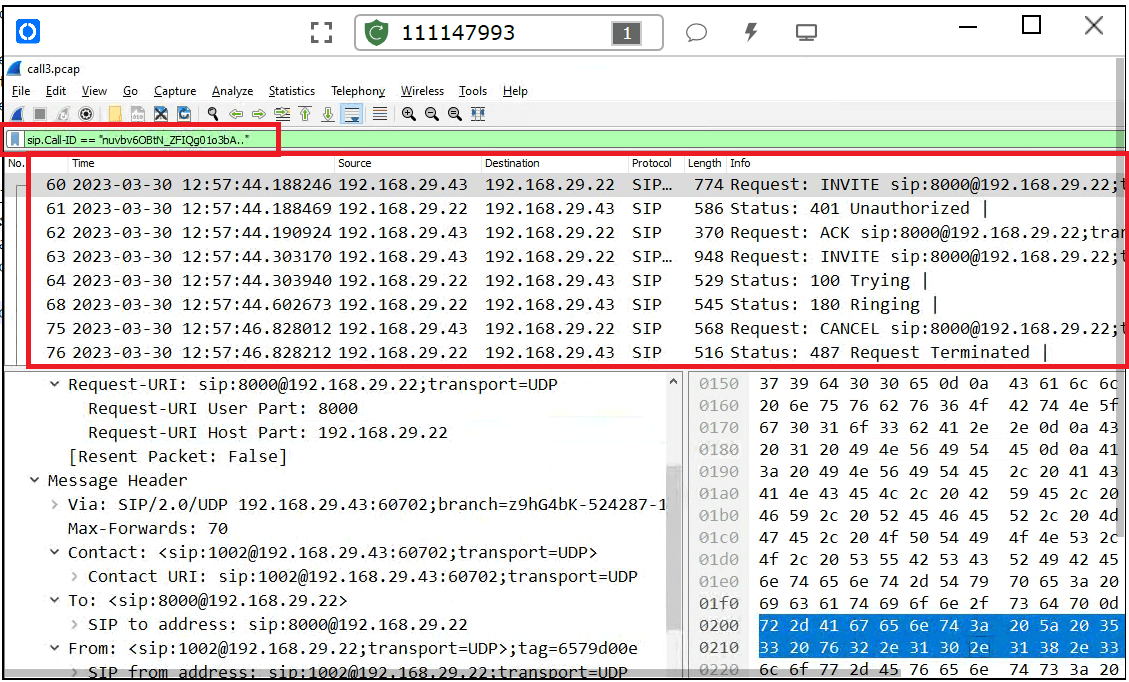 Wireshark Packets filter for the call id